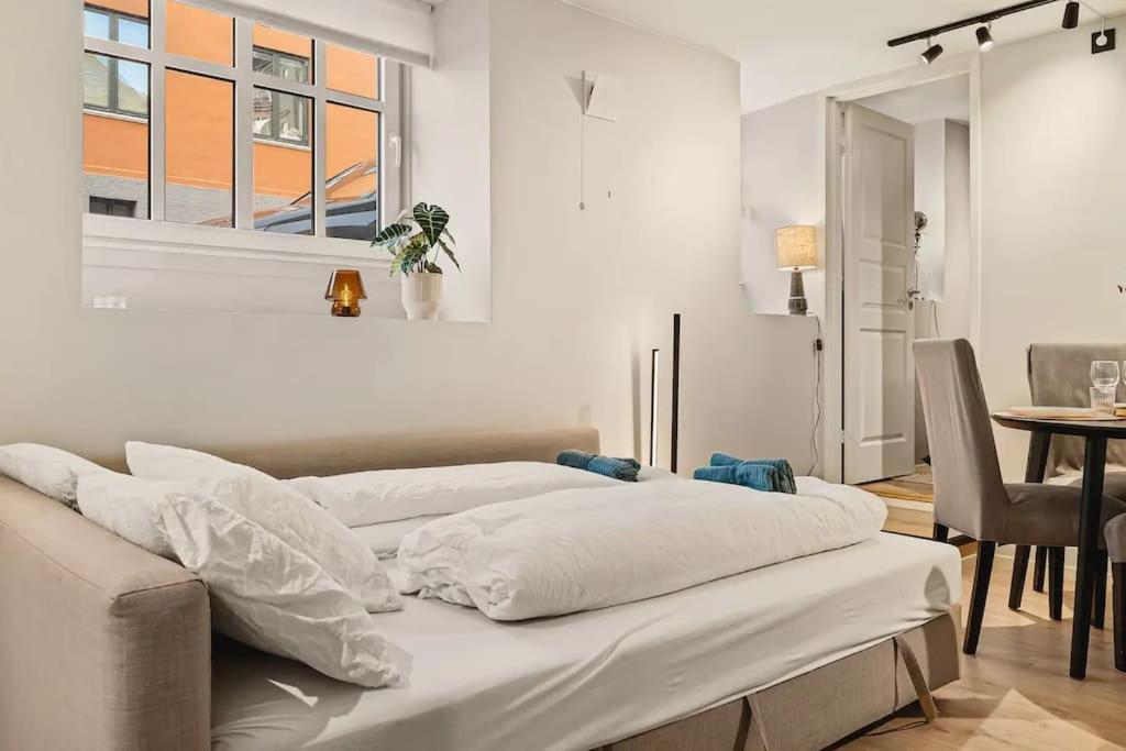 New! Modern And Comfy City Apt! Appartement *